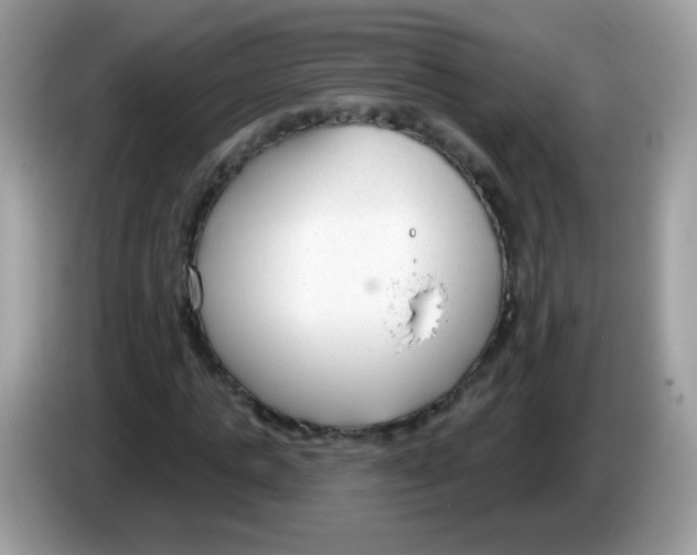 X0000086250821200704261934