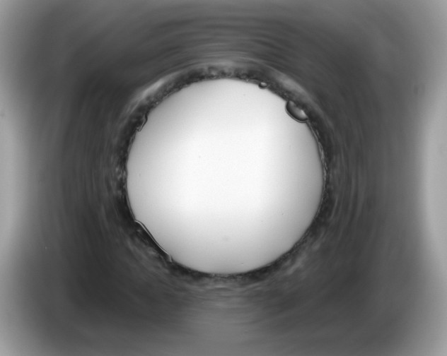X0000086250822200704261934