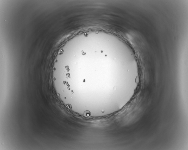 X0000086250824200704261934