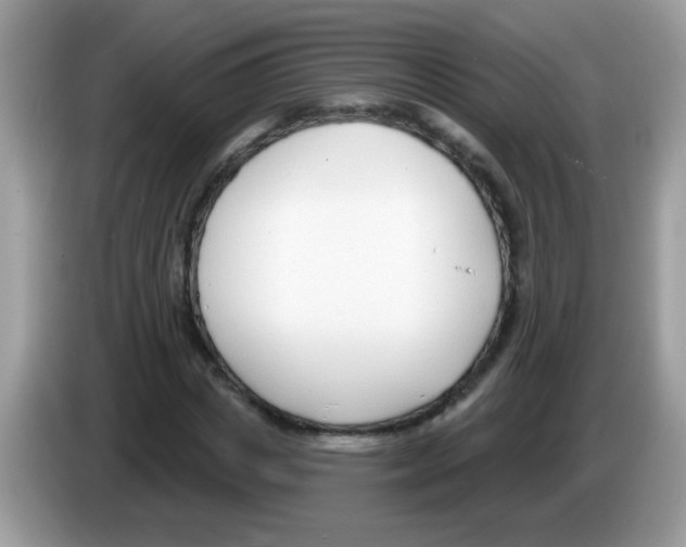 X0000086250825200704261934