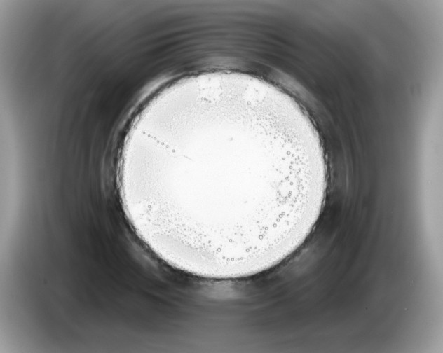X0000086250828200704261934