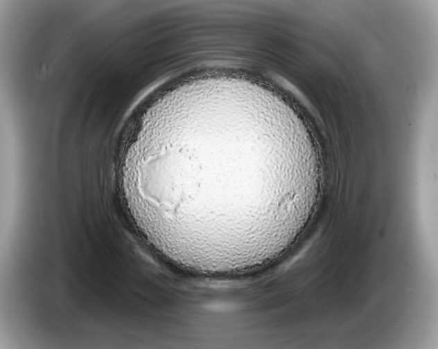 X0000086250829200704261934
