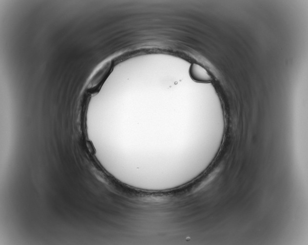 X0000086250830200704261934