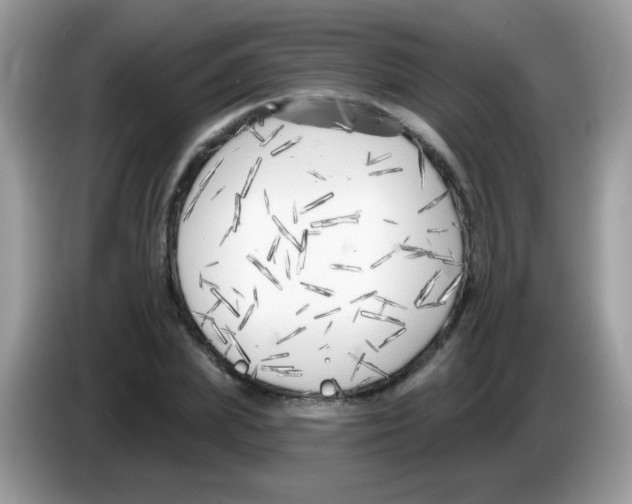 X0000086250831200704261934