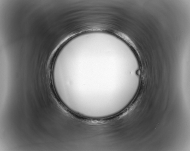 X0000086250835200704261934