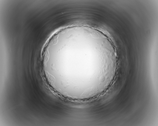 X0000086250836200704261934
