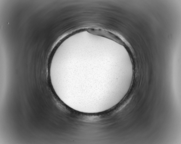 X0000086250837200704261934