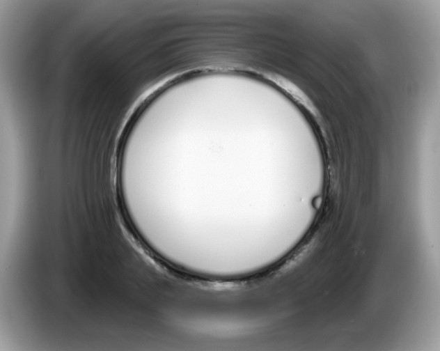 X0000086250839200704261934