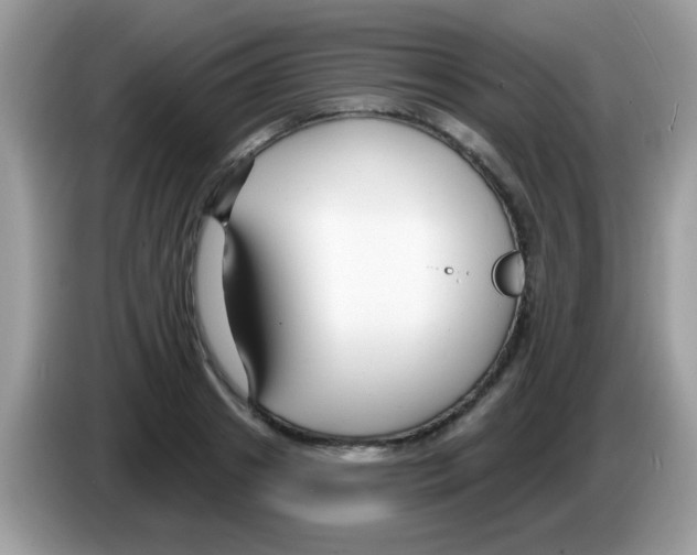 X0000086250841200704261934