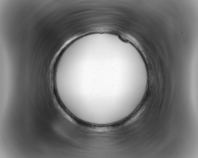 X0000086250843200704261934