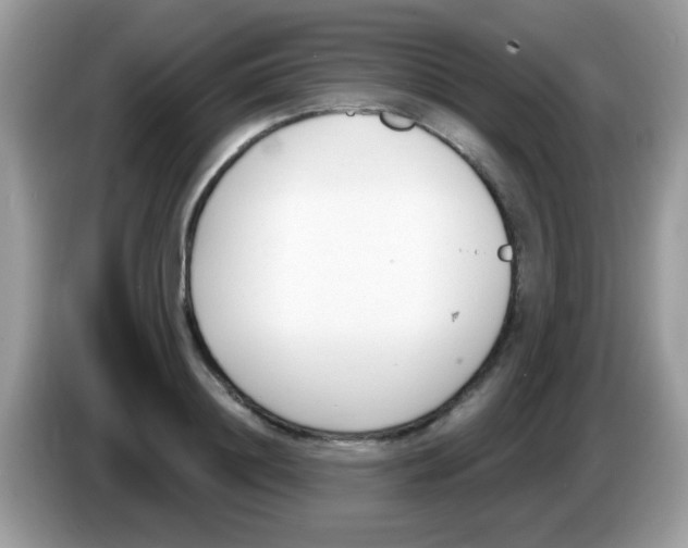 X0000086250844200704261934