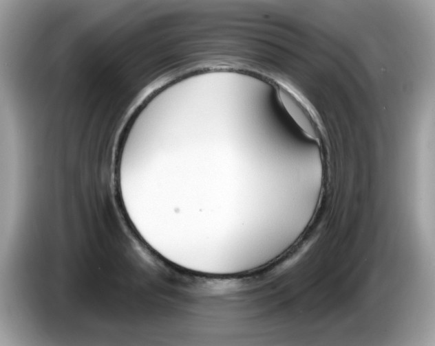 X0000086250845200704261934