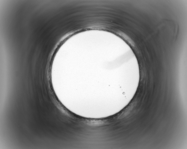 X0000086250848200704261934