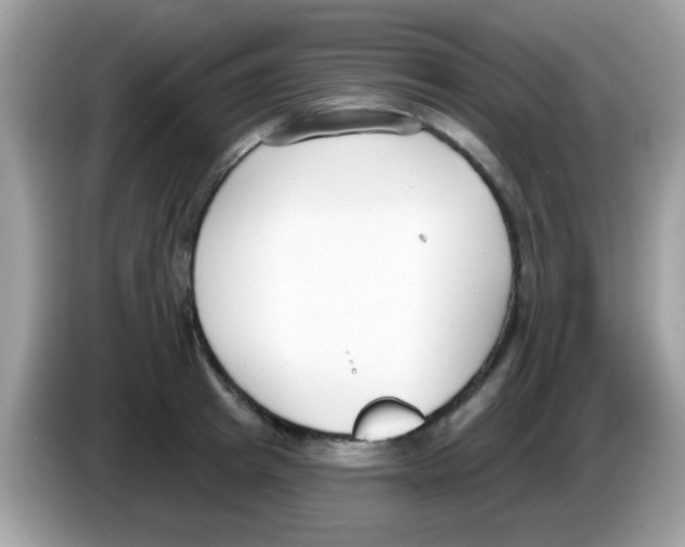 X0000086250849200704261934