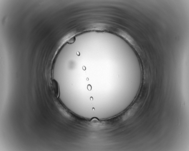 X0000086250850200704261934