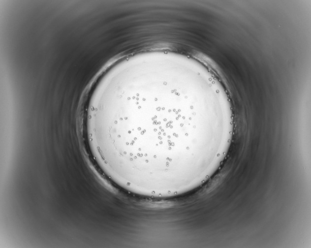 X0000086250851200704261934