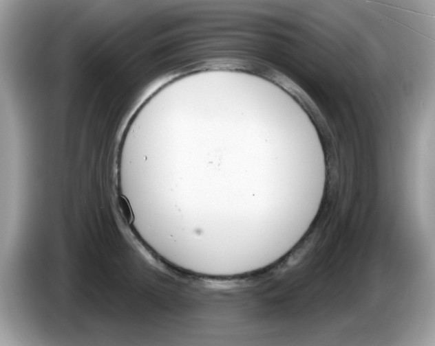 X0000086250852200704261934
