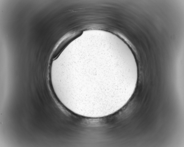 X0000086250853200704261934