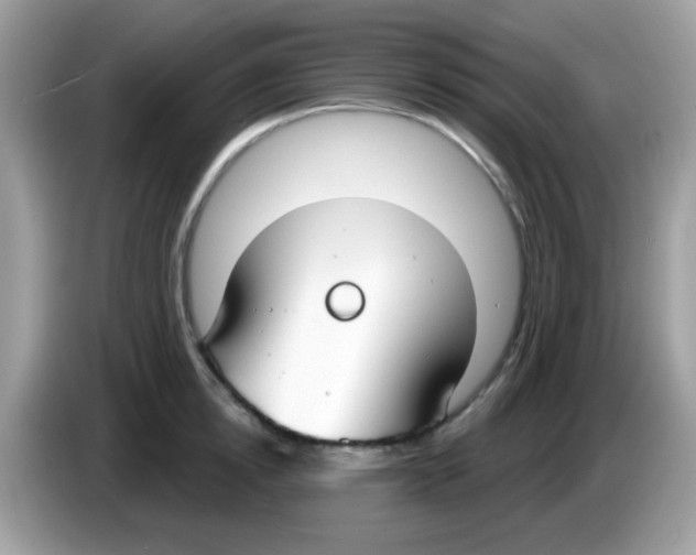 X0000086250854200704261934
