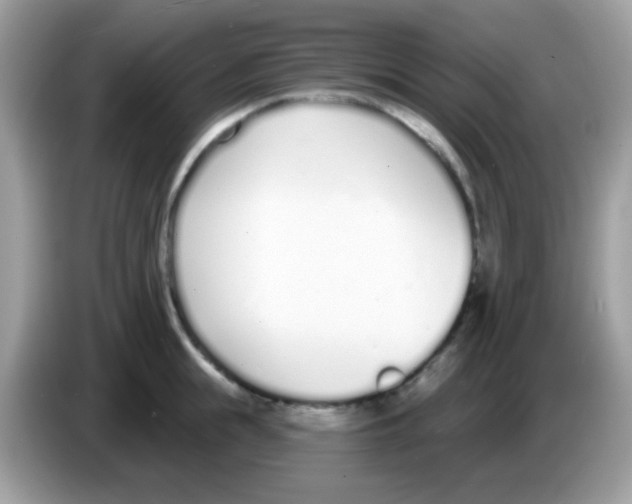 X0000086250855200704261934