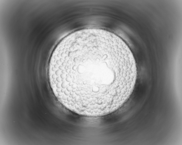 X0000086250856200704261934