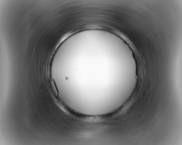 X0000086250858200704261934