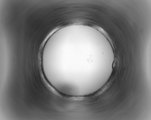 X0000086250859200704261934