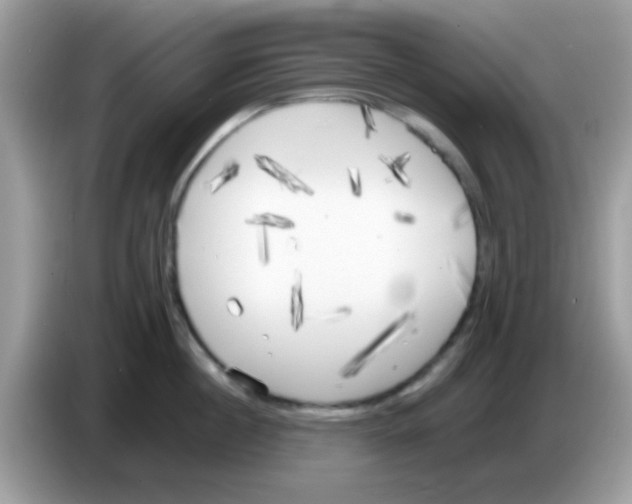 X0000086250860200704261934