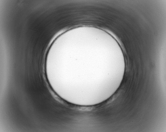 X0000086250861200704261934