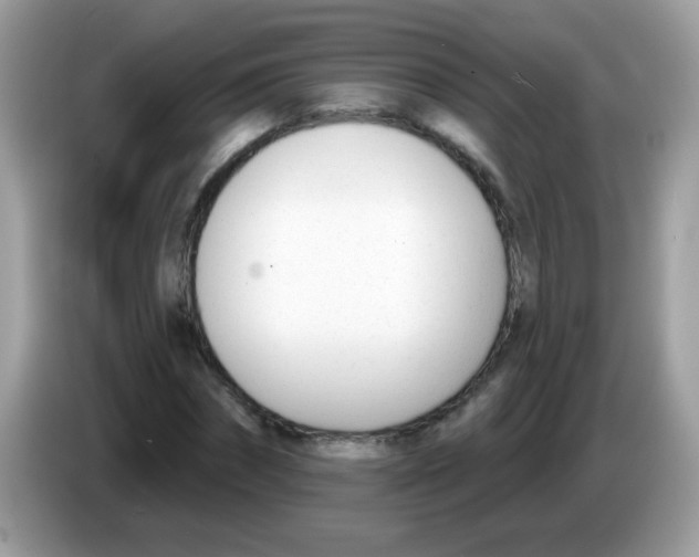 X0000086250874200704261934