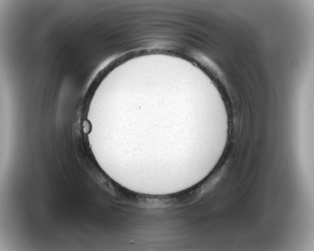 X0000086250875200704261934