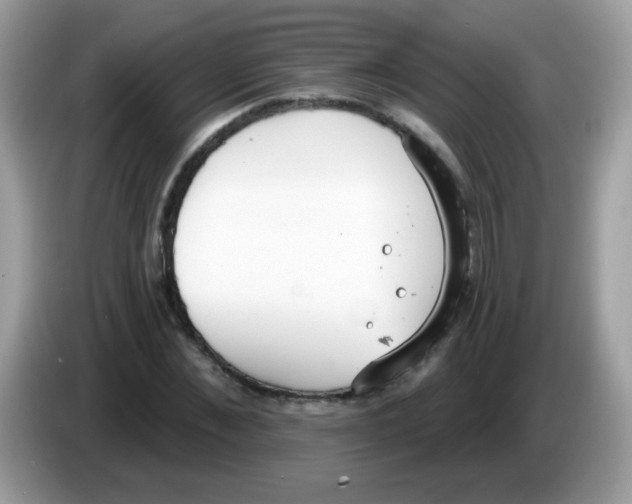 X0000086250876200704261934