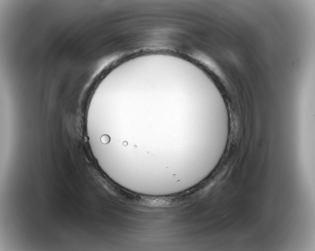 X0000086250878200704261934