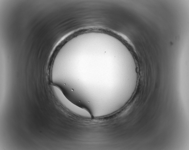 X0000086250879200704261934