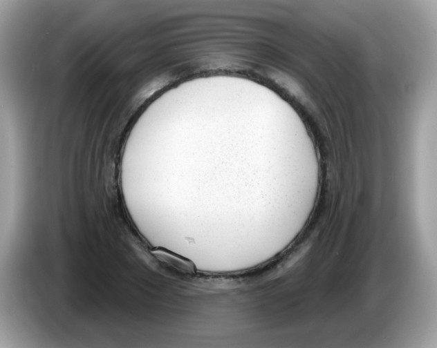 X0000086250881200704261934