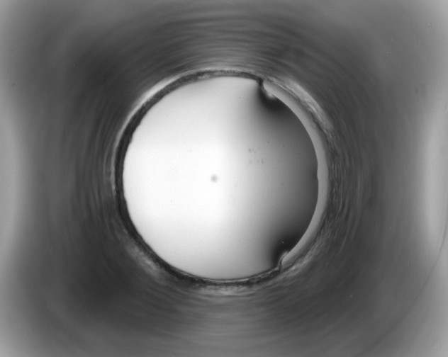 X0000086250884200704261934