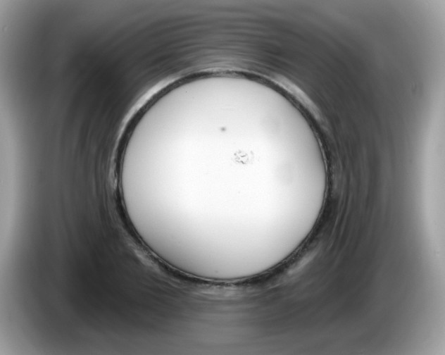 X0000086250885200704261934