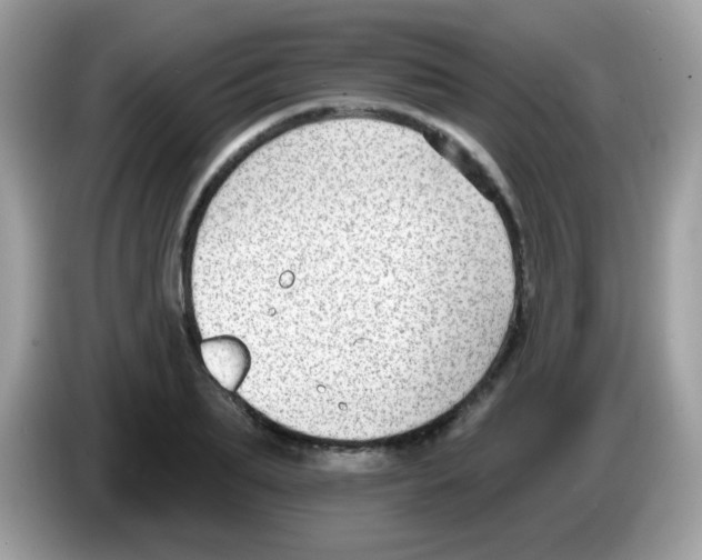 X0000086250887200704261934