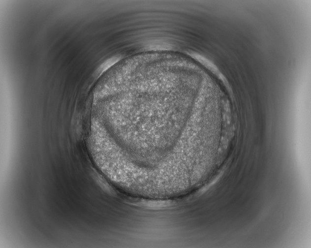 X0000086250889200704261933