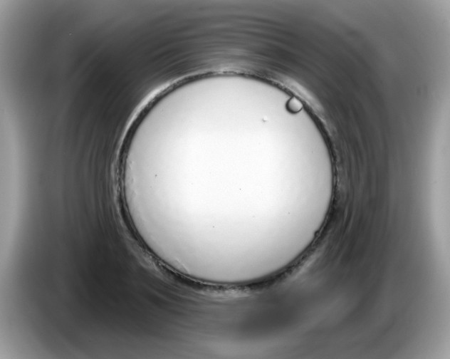 X0000086250891200704261933