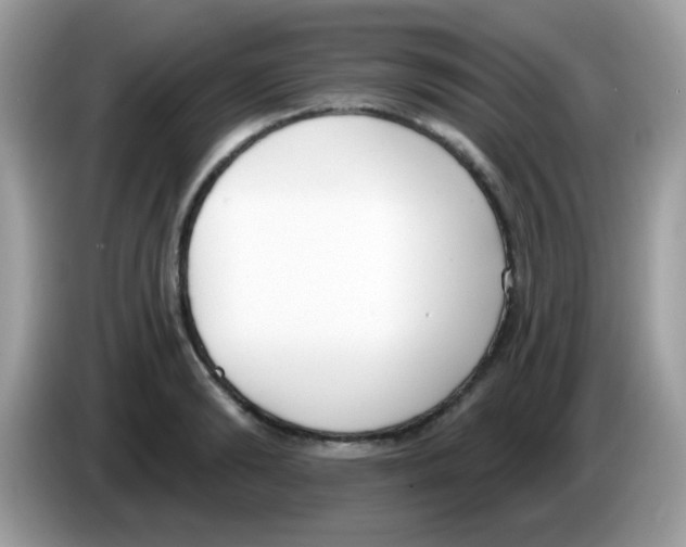 X0000086250894200704261933