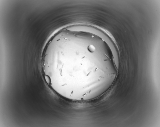 X0000086250895200704261933