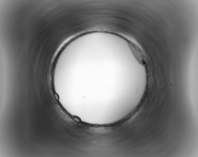X0000086250896200704261933
