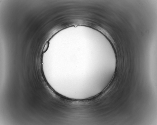 X0000086250898200704261933