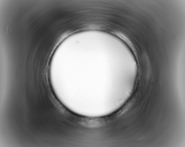 X0000086250899200704261933