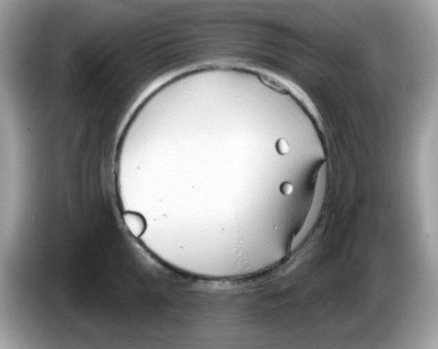 X0000086250903200704261933