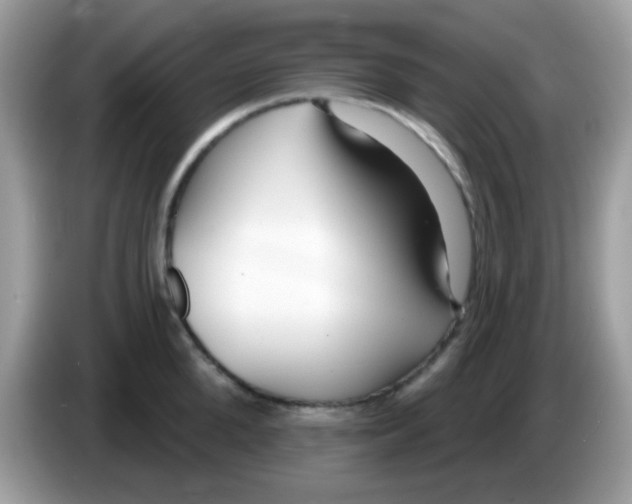 X0000086250904200704261933