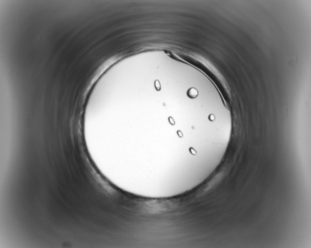 X0000086250906200704261933