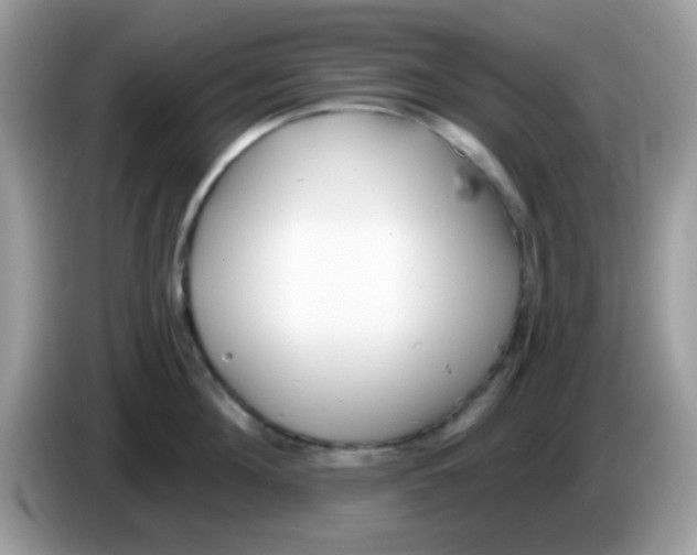X0000086250908200704261933