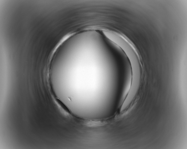 X0000086250909200704261933